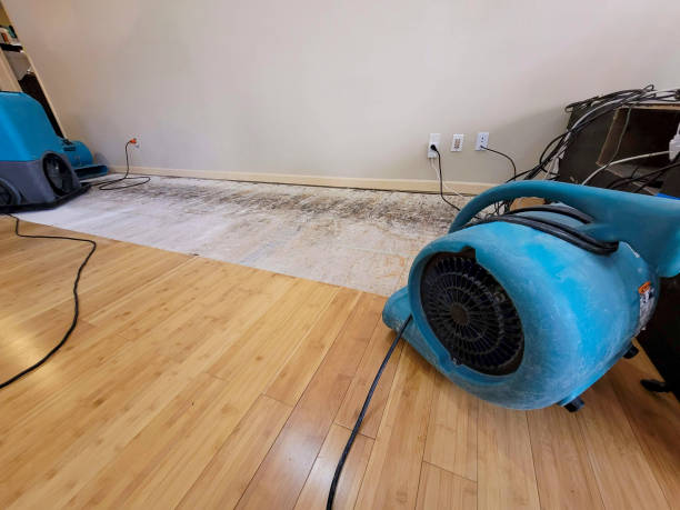 Professional Basement Flood Cleanup technician working in Florence, MA